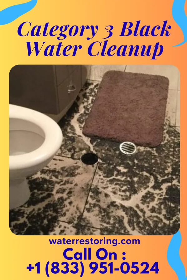 Category 3 Black Water Cleanup in Beverly, NJ