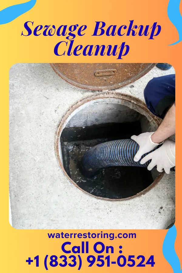 Sewage Backup Cleanup in Beverly, NJ
