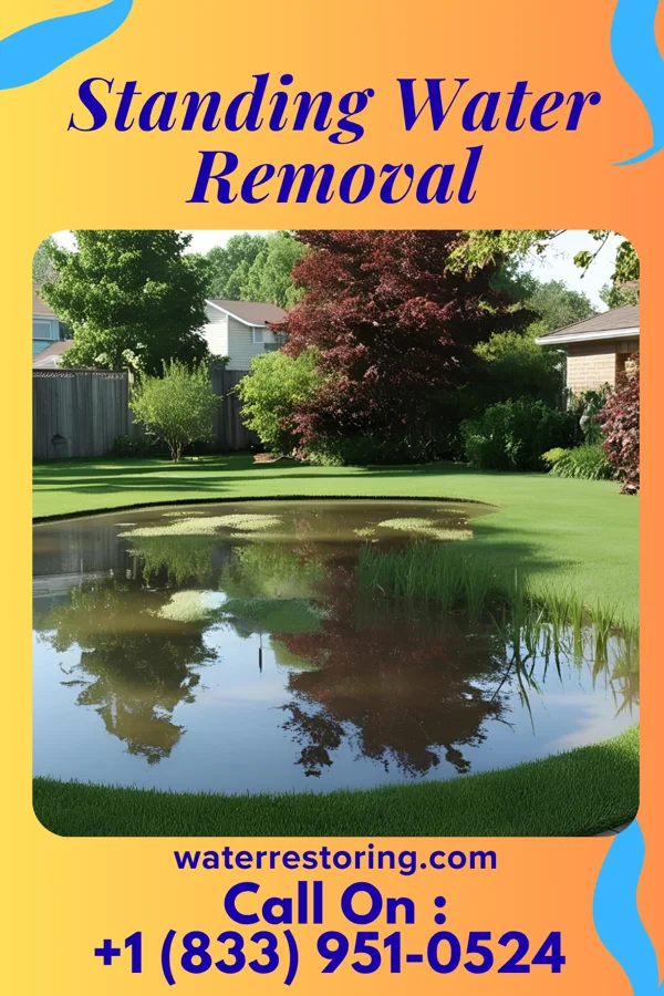 Standing Water Removal in Beverly, NJ
